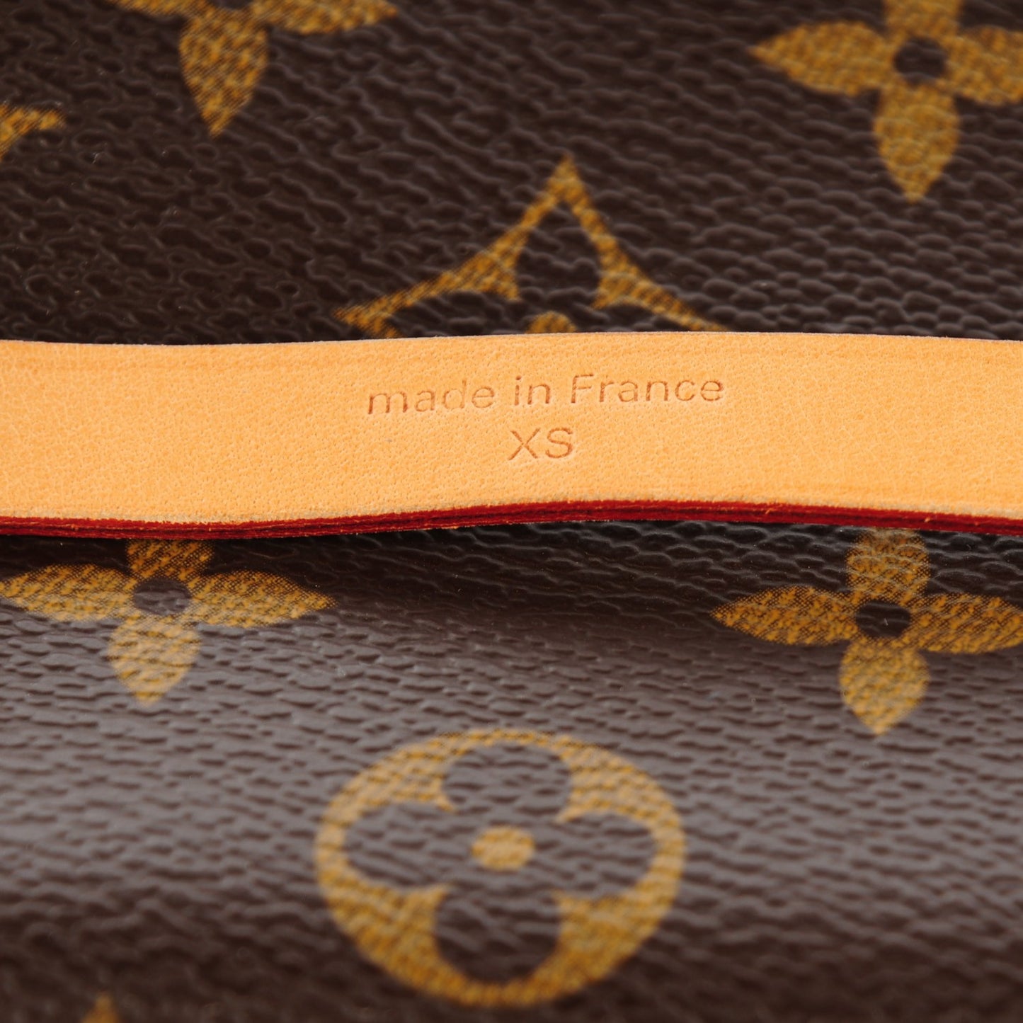 Monogram Pochette Florentine XS