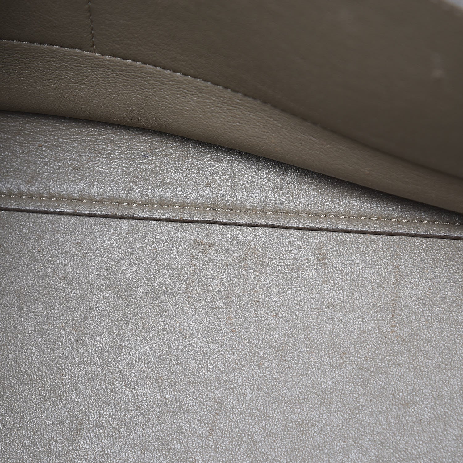 Celine Calfskin Suede Whipsnake Medium Trapeze Taupe 16 of 22