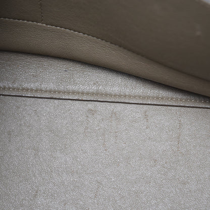 Celine Calfskin Suede Whipsnake Medium Trapeze Taupe 16 of 22