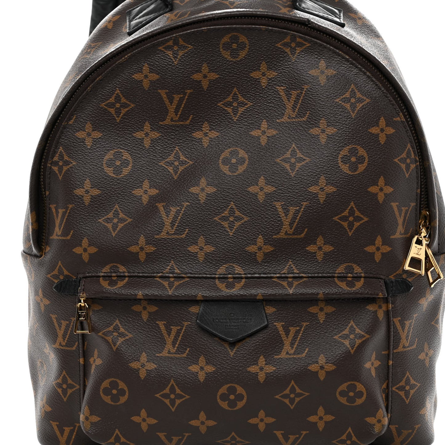 Monogram Palm Springs Backpack MM