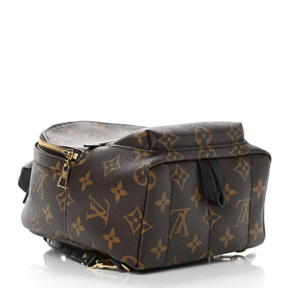 Louis Vuitton Monogram Palm Springs Backpack Mini 3 of 5