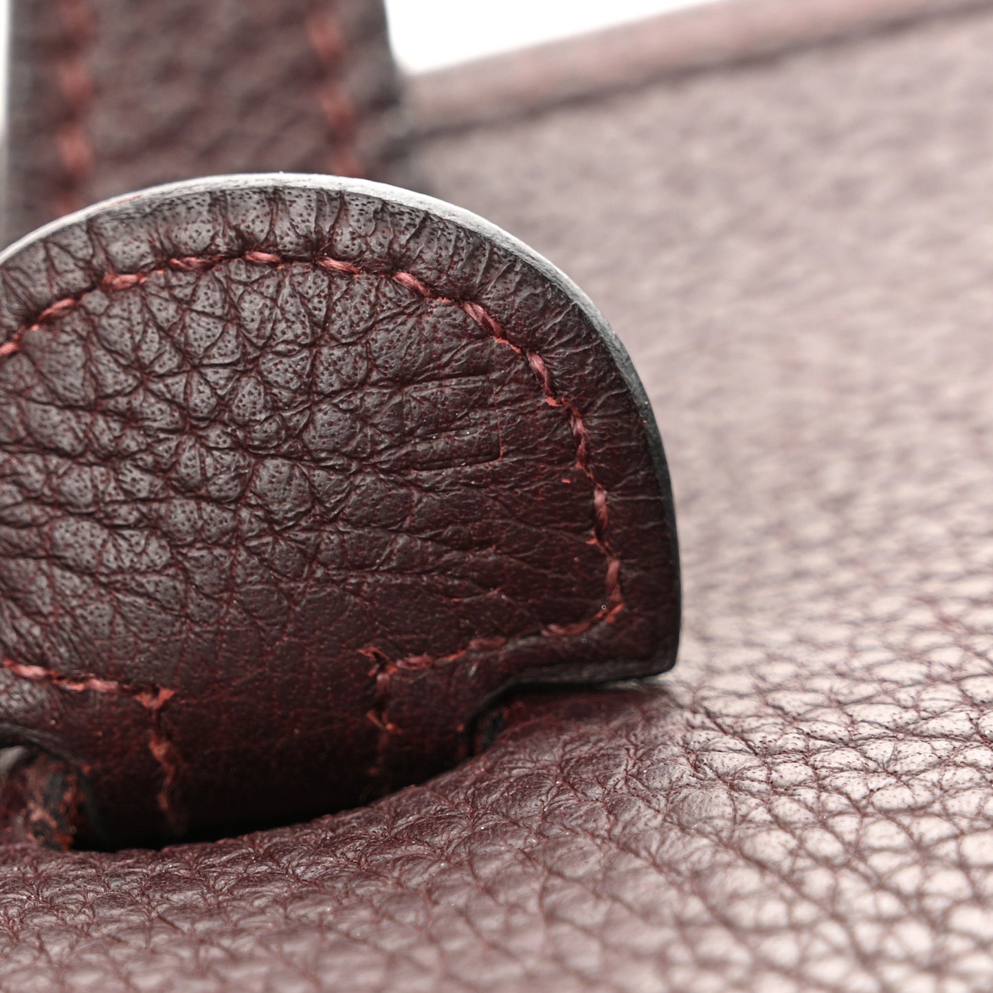 Taurillon Clemence Evelyne III PM Havane