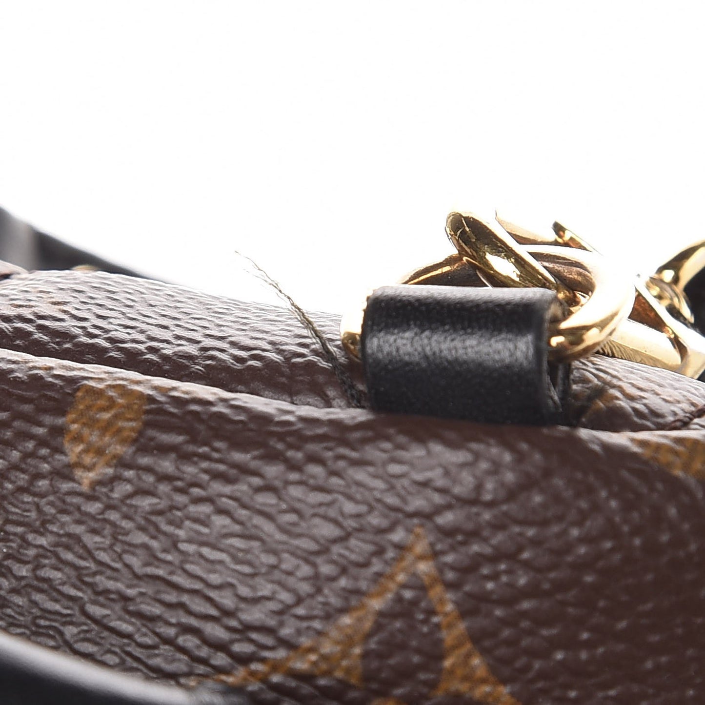 Monogram Palm Springs Backpack Mini