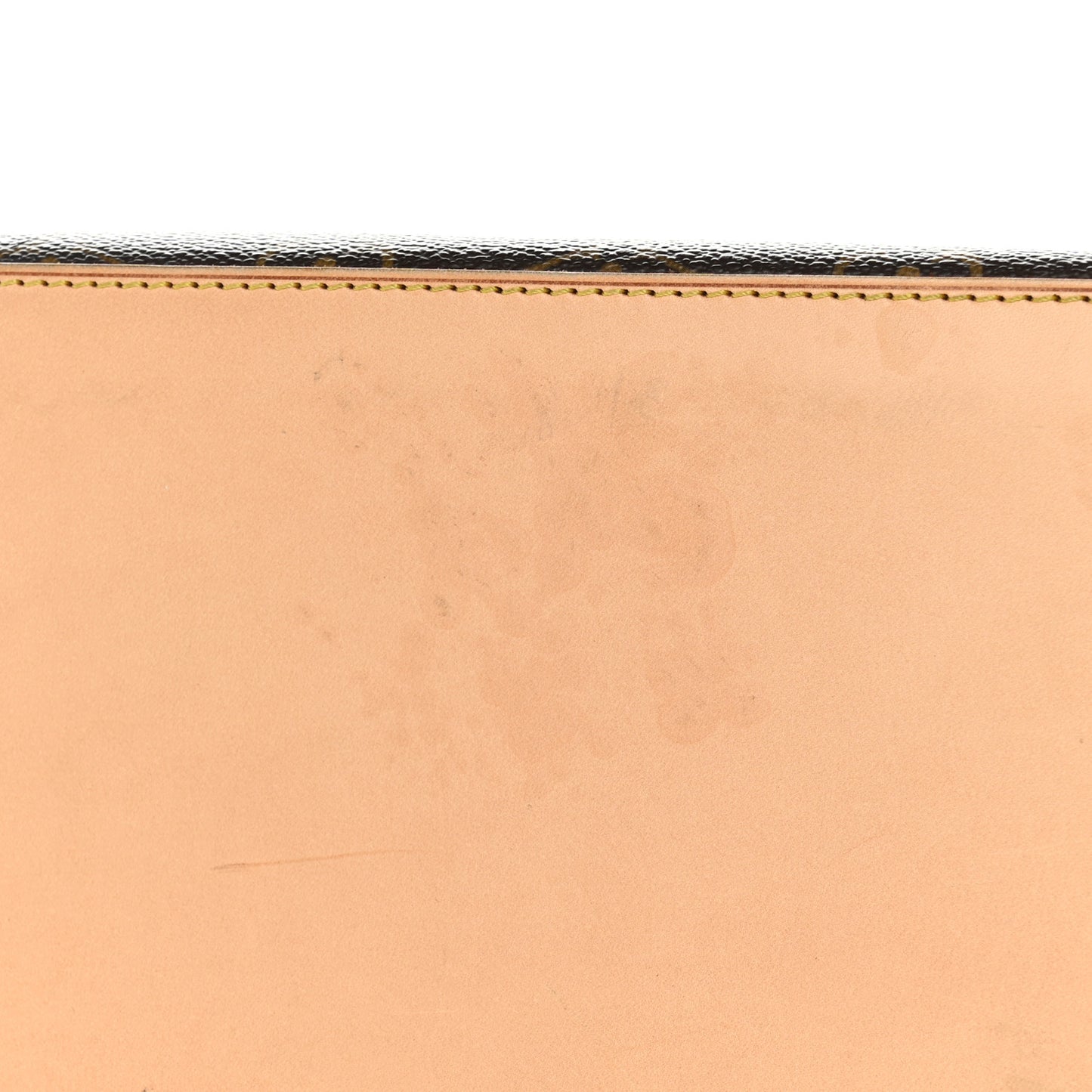 Monogram Cabas Mezzo