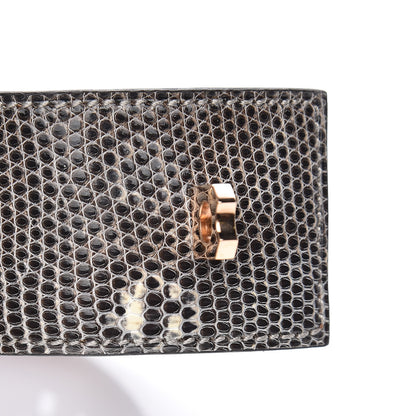 Hermes Lizard Collier De Chien CDC Bracelet T2 Ombre 7 of 8