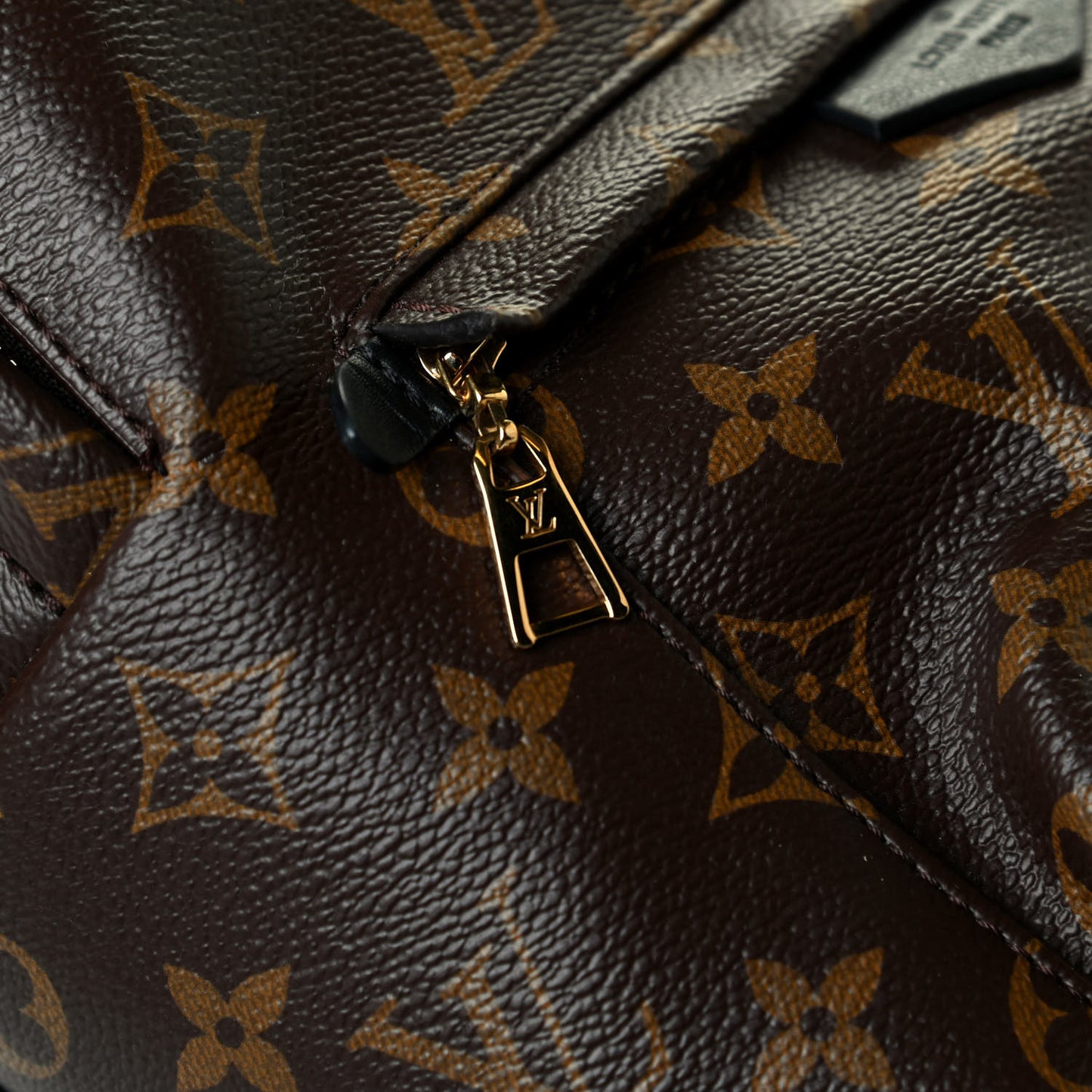 Monogram Palm Springs Backpack PM
