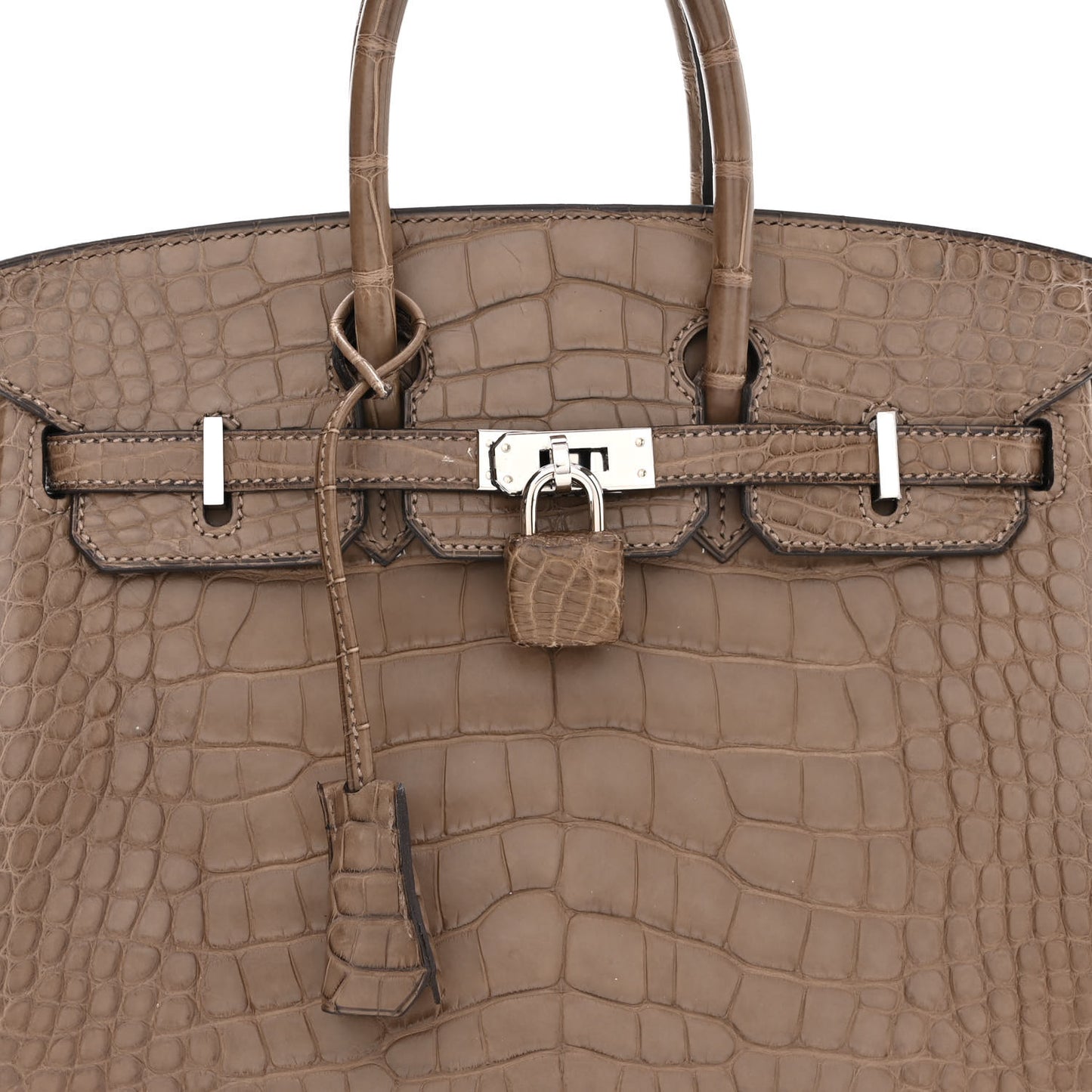 Matte Alligator Birkin 25 Origan