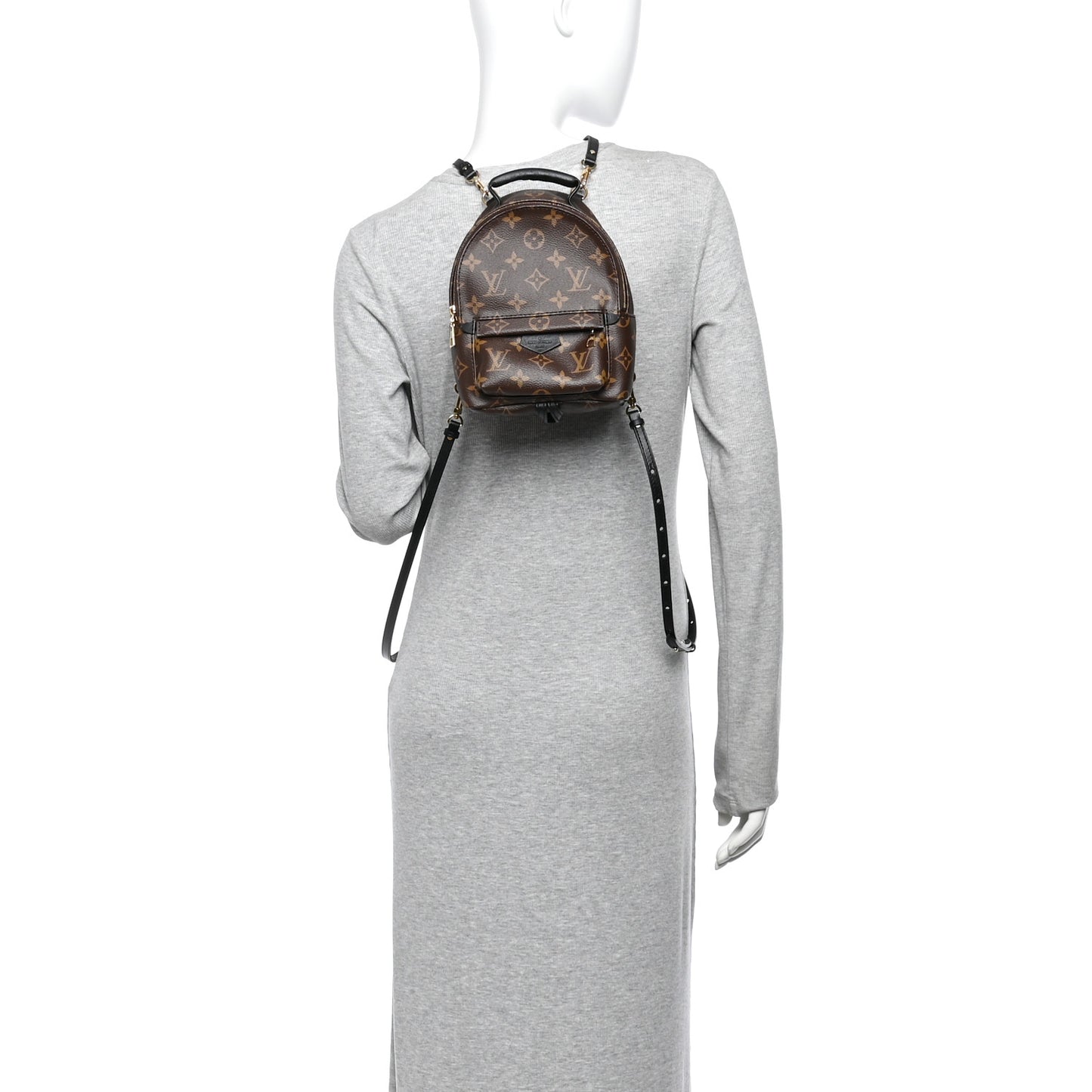 Monogram Palm Springs Backpack Mini