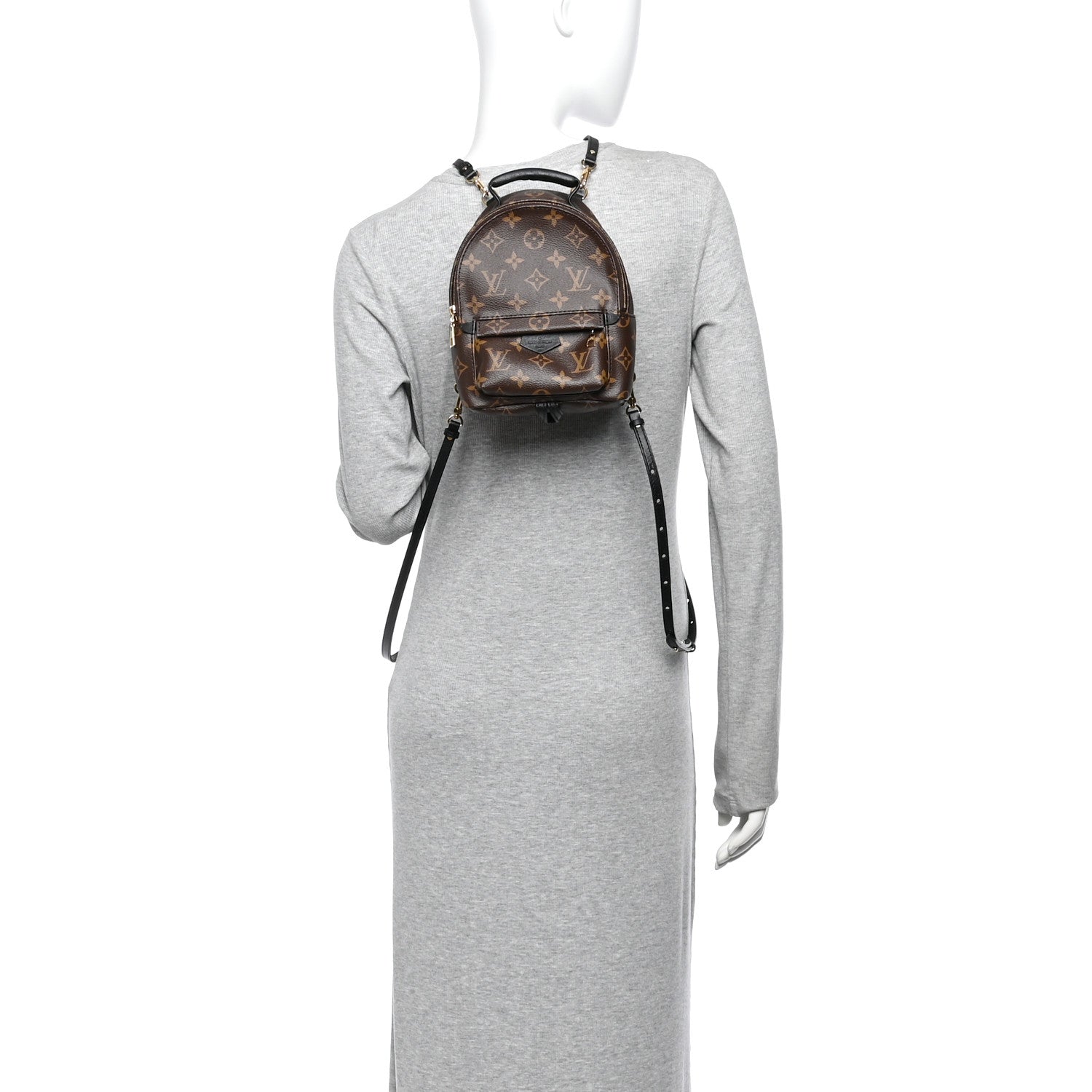 Louis Vuitton Monogram Palm Springs Backpack Mini 2 of 9