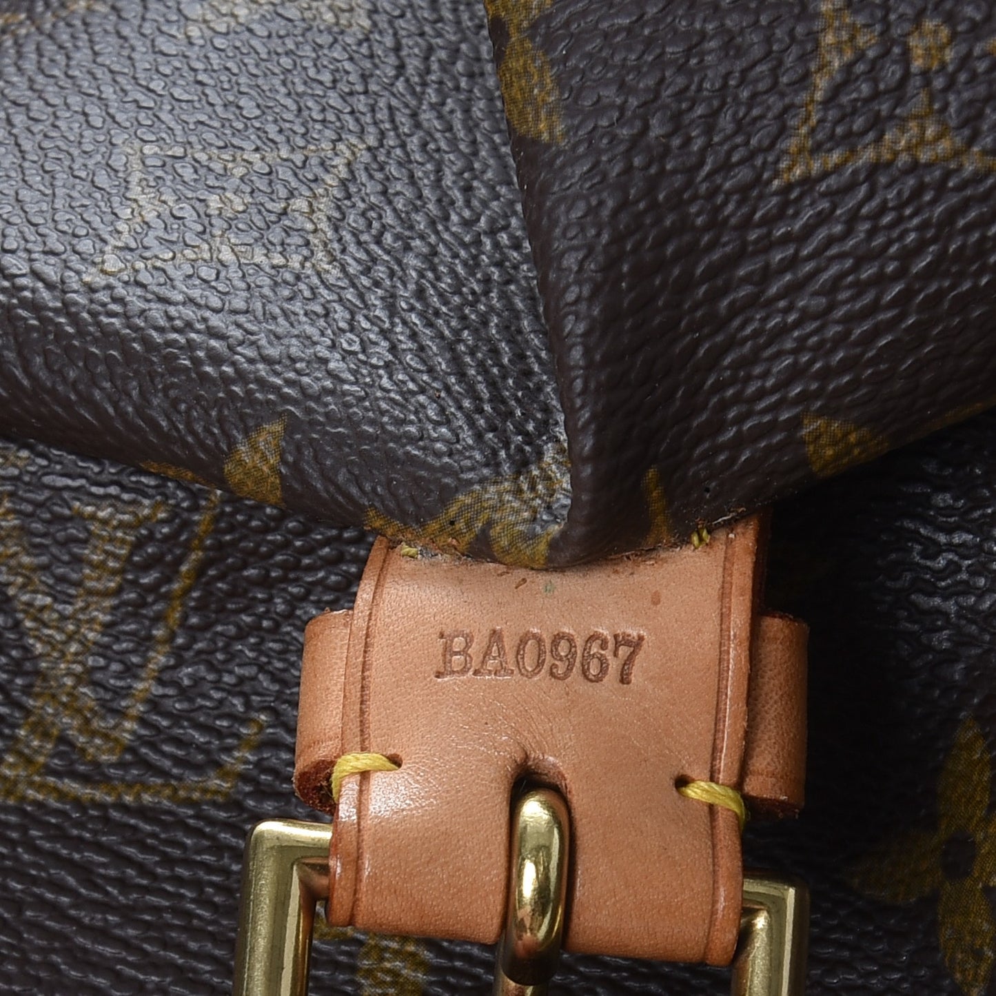 Monogram Montsouris GM Backpack