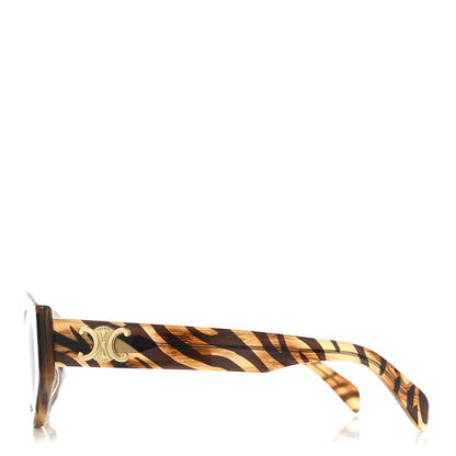 Celine Acetate Triomphe 01 Sunglasses CL 40238U Tiger 3 of 6