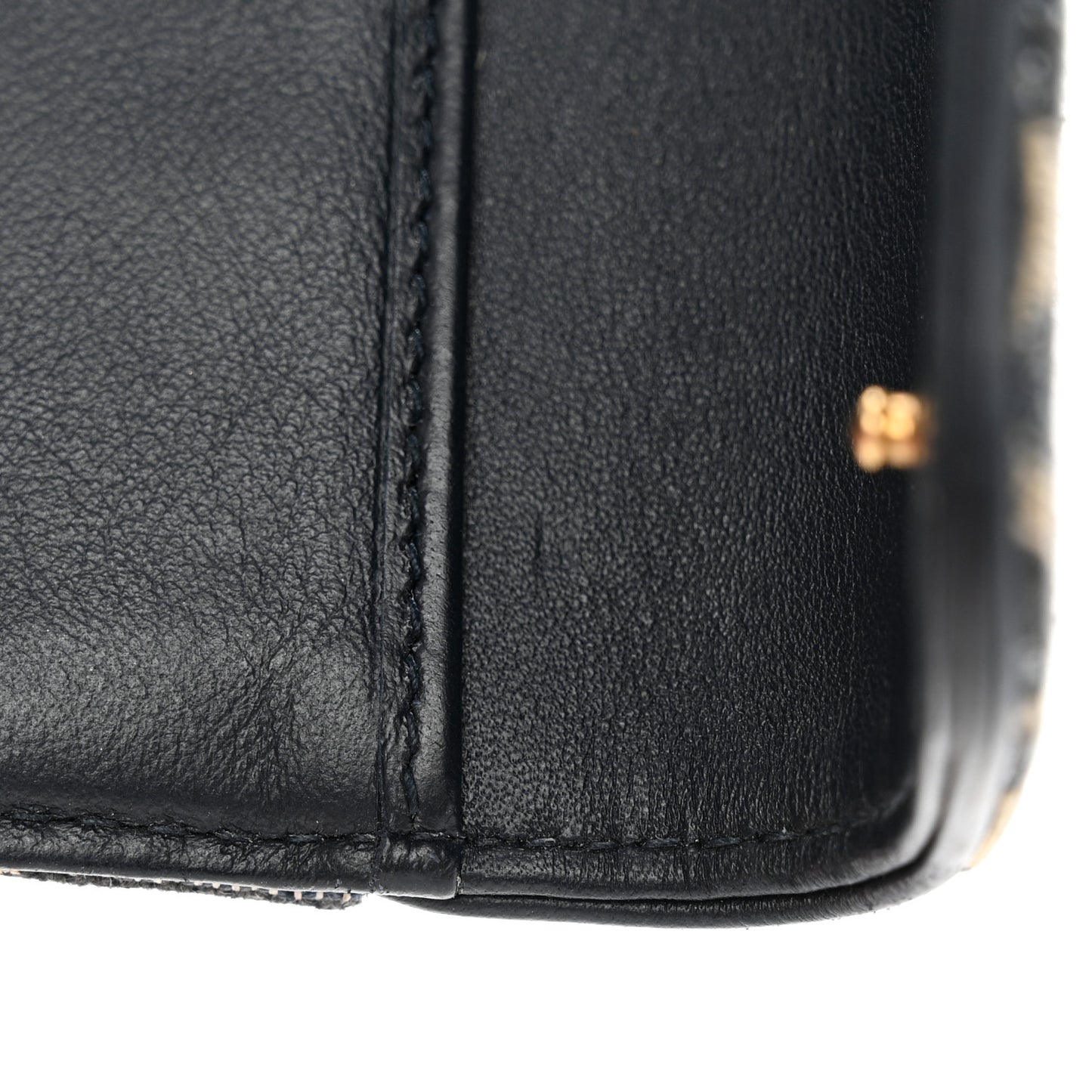 Oblique Saddle Lotus Wallet Blue