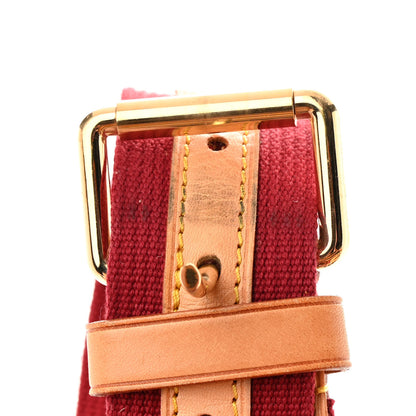 Louis Vuitton Denim Raye Cabas GM 18 of 19