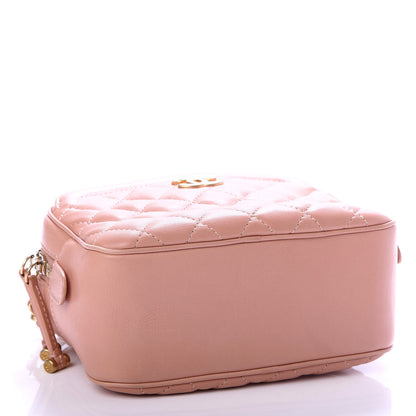 Chanel Calfskin Quilted CC Small Vanity Case Dark Beige 3 of 9