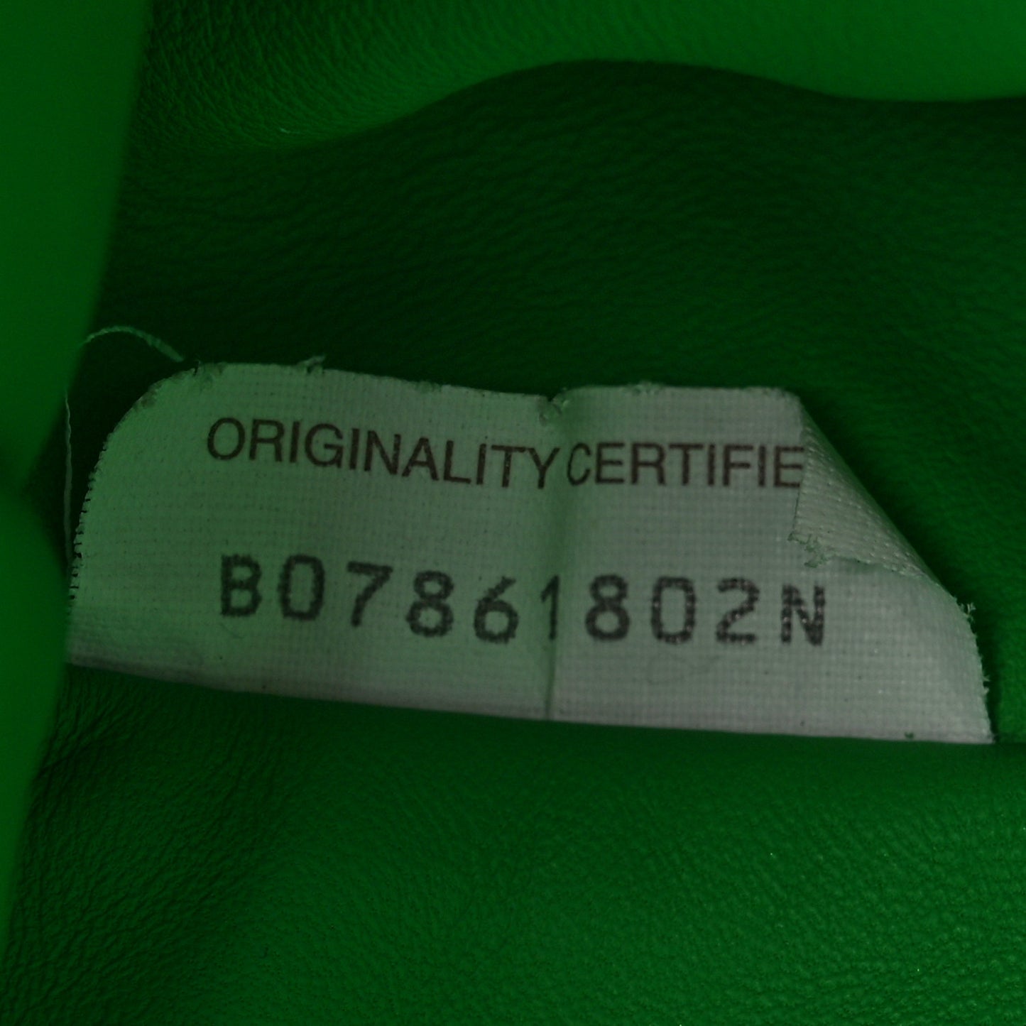 Nappa Maxi Intrecciato The Pouch Oversized Clutch Parakeet