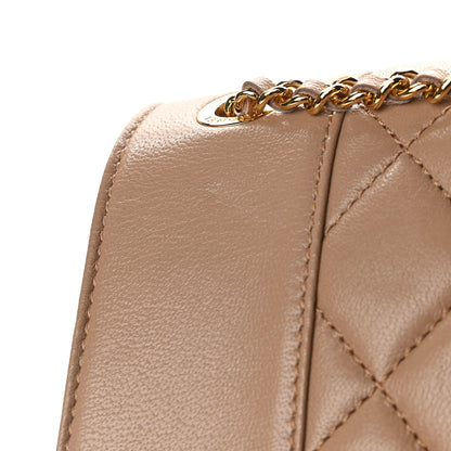 Chanel Sheepskin Quilted Medium Vintage Mademoiselle Flap Beige 10 of 10