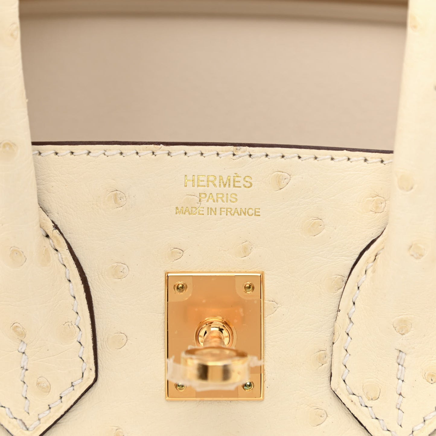 Ostrich Birkin 25 Nata