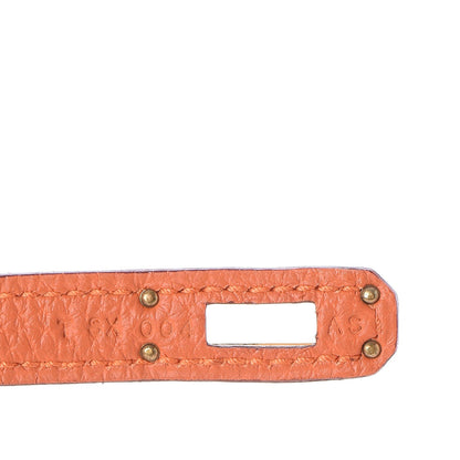 Hermes Togo Birkin 25 Orange 16 of 30