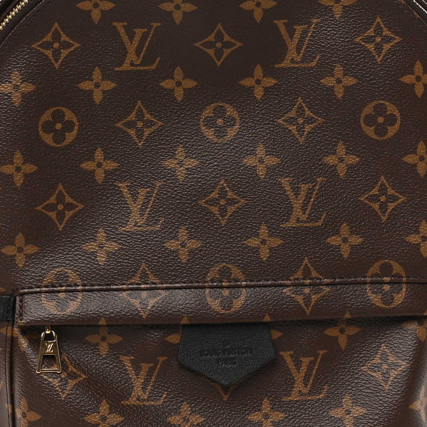 Monogram Palm Springs Backpack MM