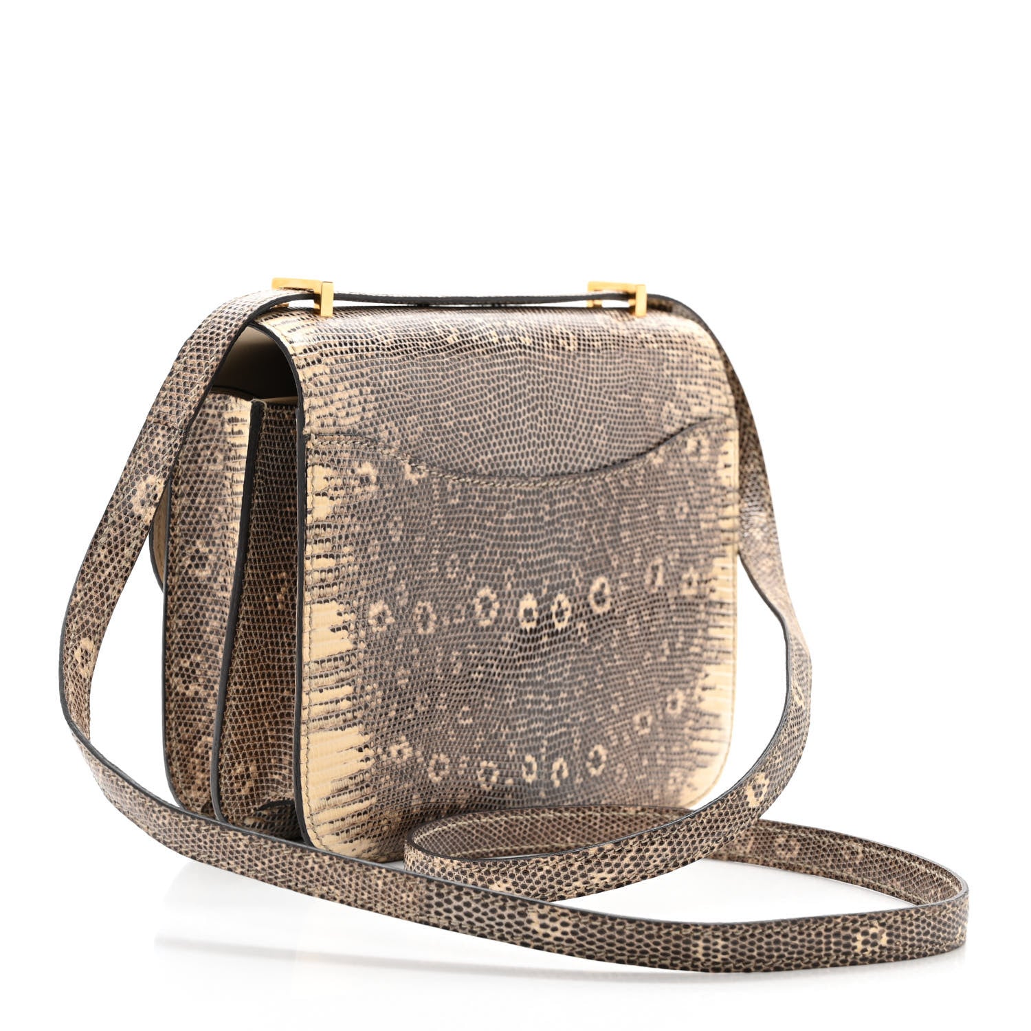 Hermes Lizard Constance 18 Ombre 3 of 11