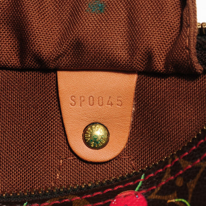 Louis Vuitton Monogram Cerises Speedy 25 9 of 10