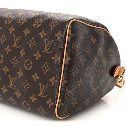 Louis Vuitton Monogram Speedy Soft Crafty 30 11 of 11