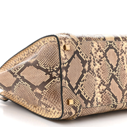 Celine Snakeskin Mini Luggage Beige 9 of 10