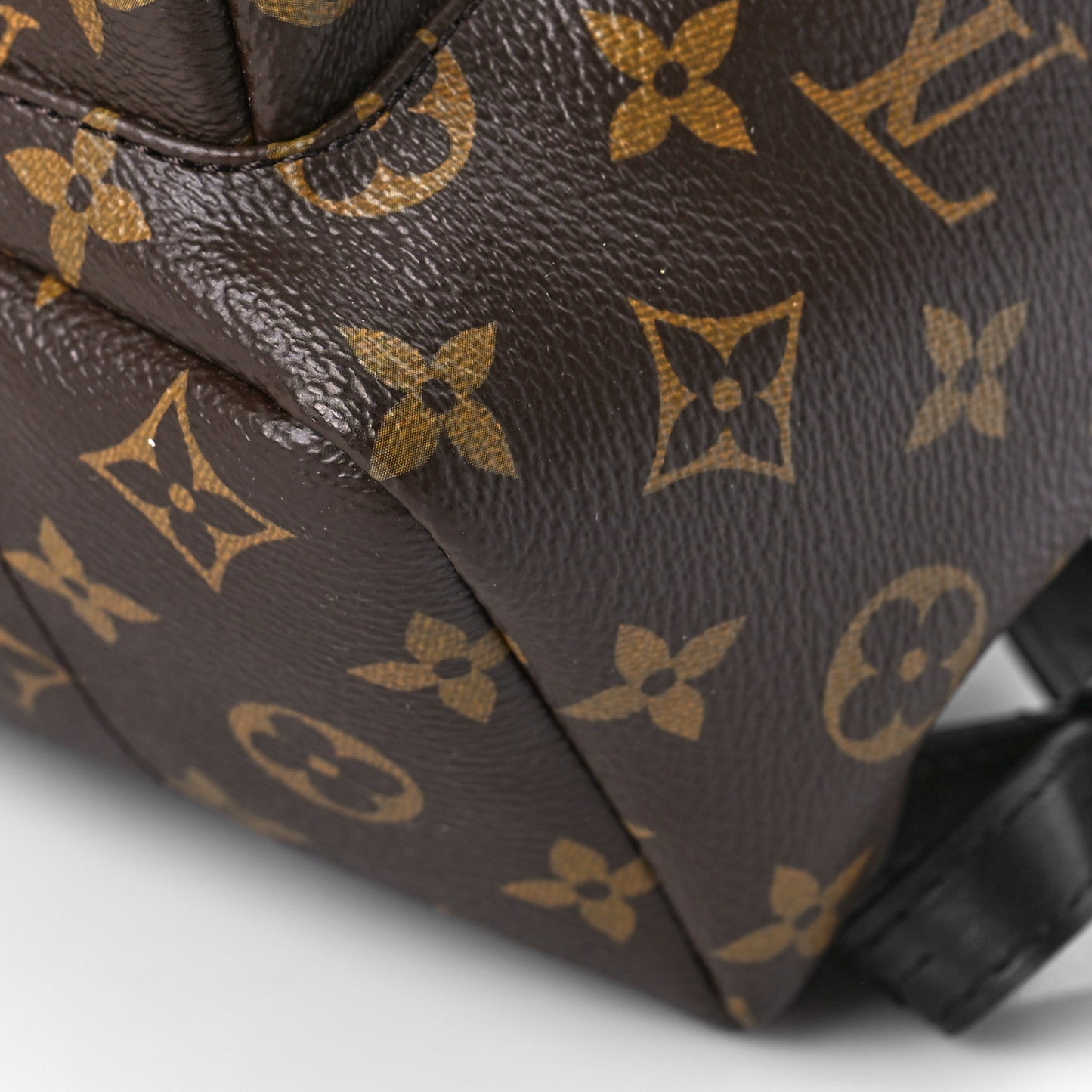 Monogram Palm Springs Backpack PM