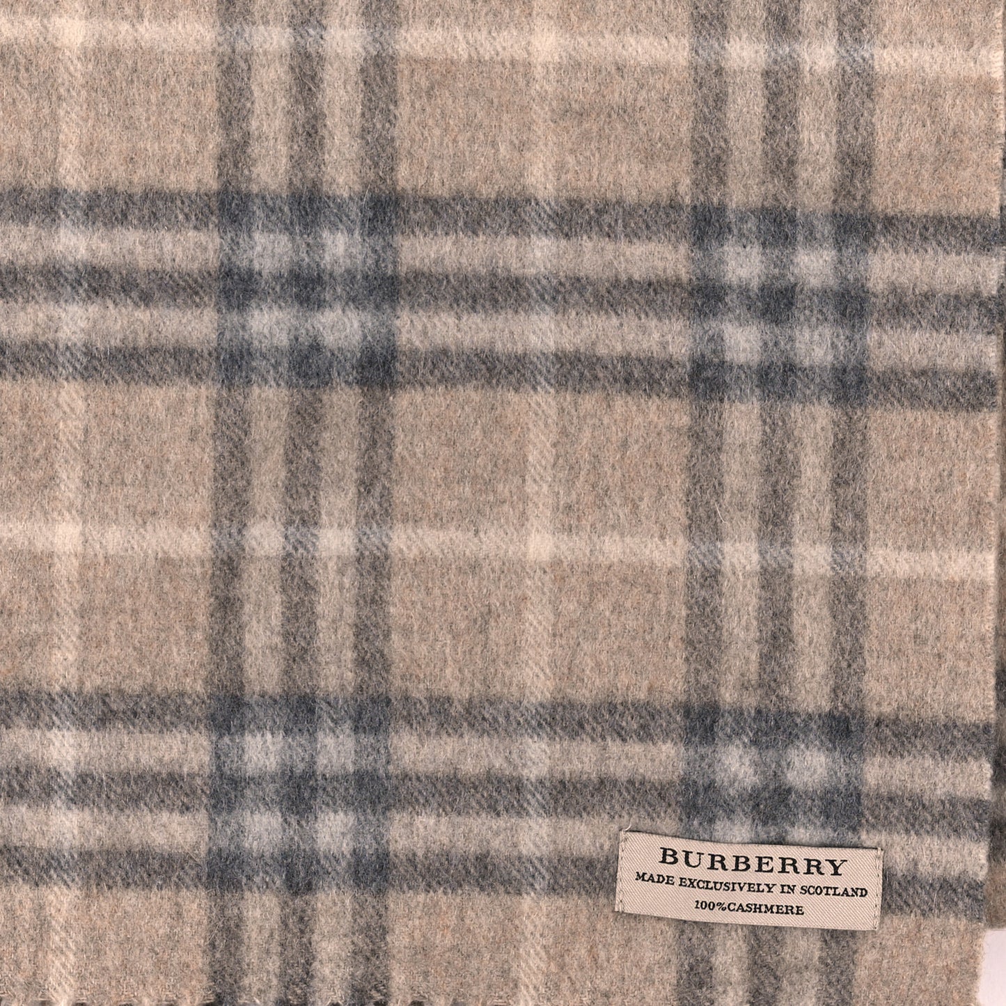 Cashmere House Check Fringe Scarf