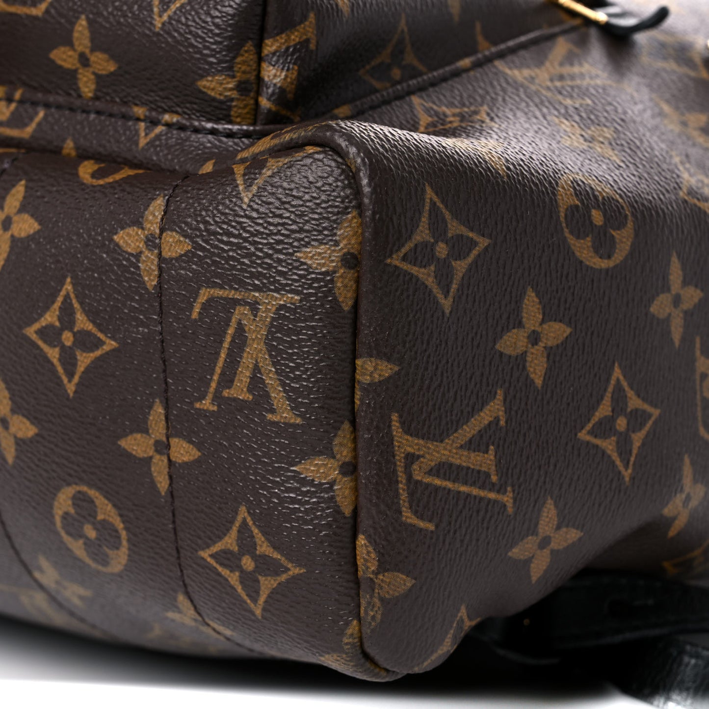 Monogram Palm Springs Backpack MM
