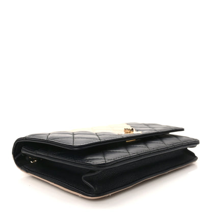 Chanel Aged Calfskin Quilted Reissue Wallet On Chain WOC Beige Black 4 of 14