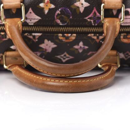 Louis Vuitton Watercolor Aquarelle Speedy 35 Brown 15 of 16