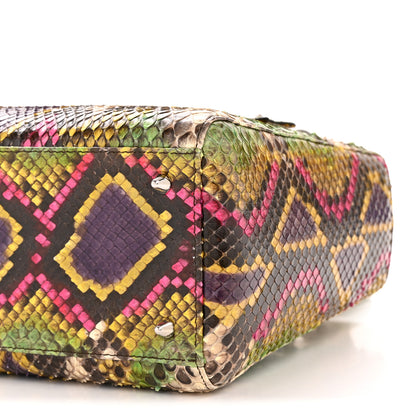 Christian Dior Snakeskin Medium Lady Dior Multicolor 10 of 13