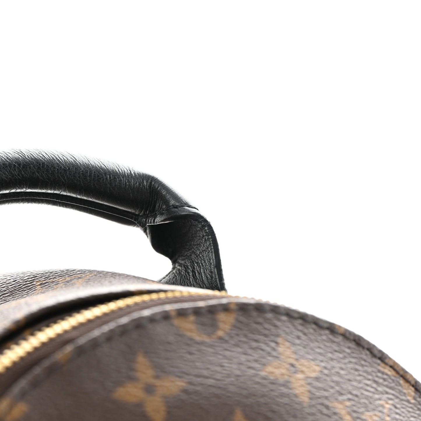 Monogram Palm Springs Backpack PM