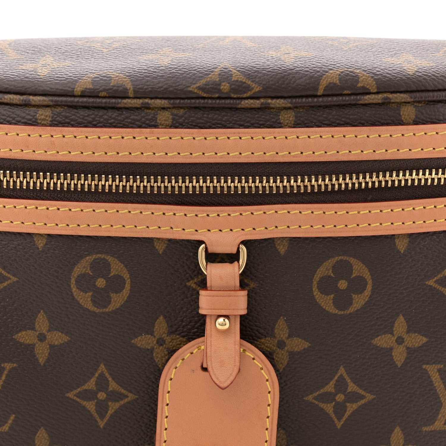 Louis Vuitton Monogram High Rise Bumbag 7 of 11