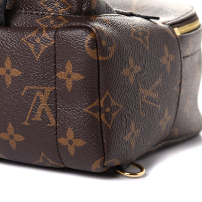 Louis Vuitton Monogram Palm Springs Backpack Mini 14 of 18