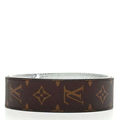 Louis Vuitton Epi Monogram Bandouliere Shoulder Strap Silver 2 of 4