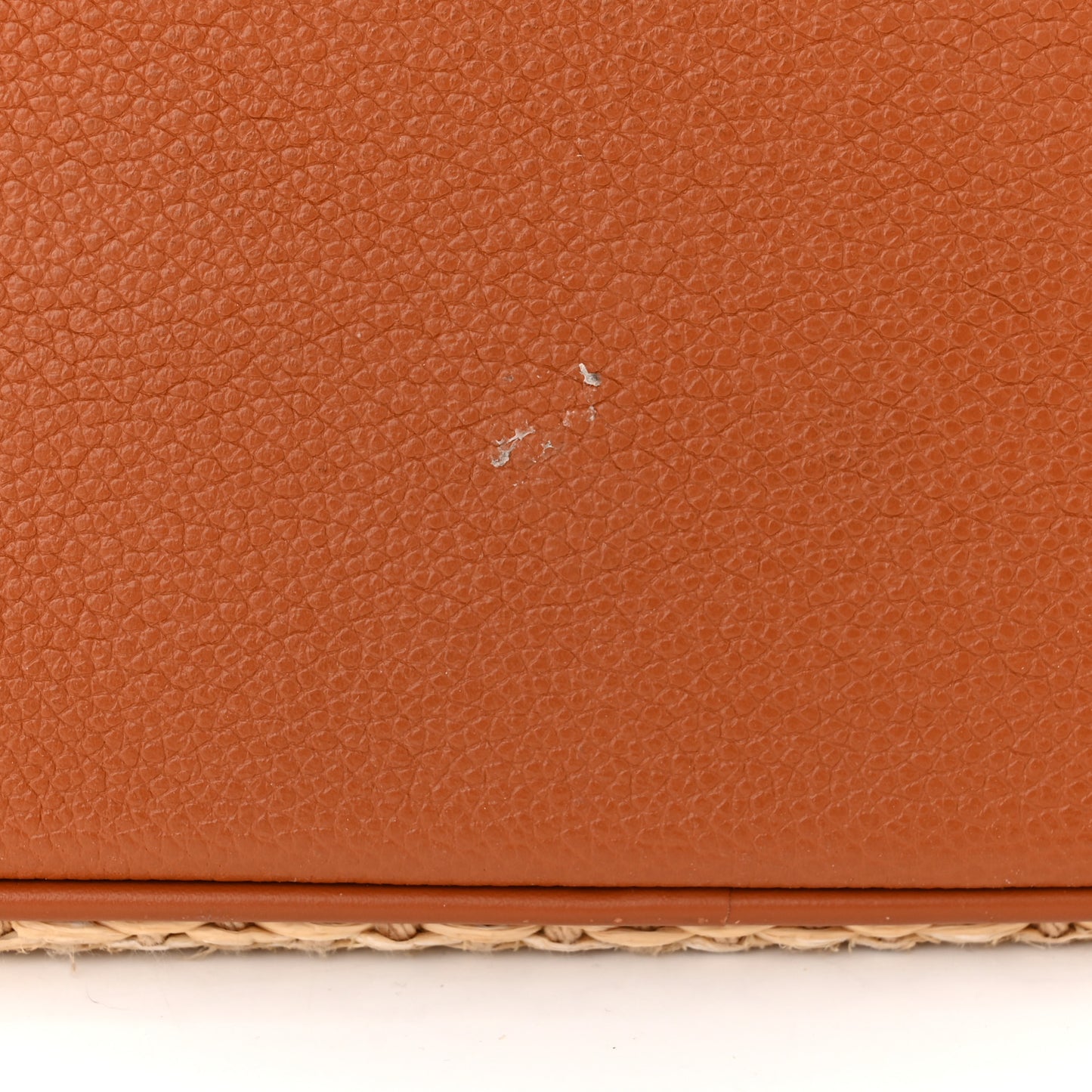 Raffia Calfskin Monogram Neonoe MM Tan