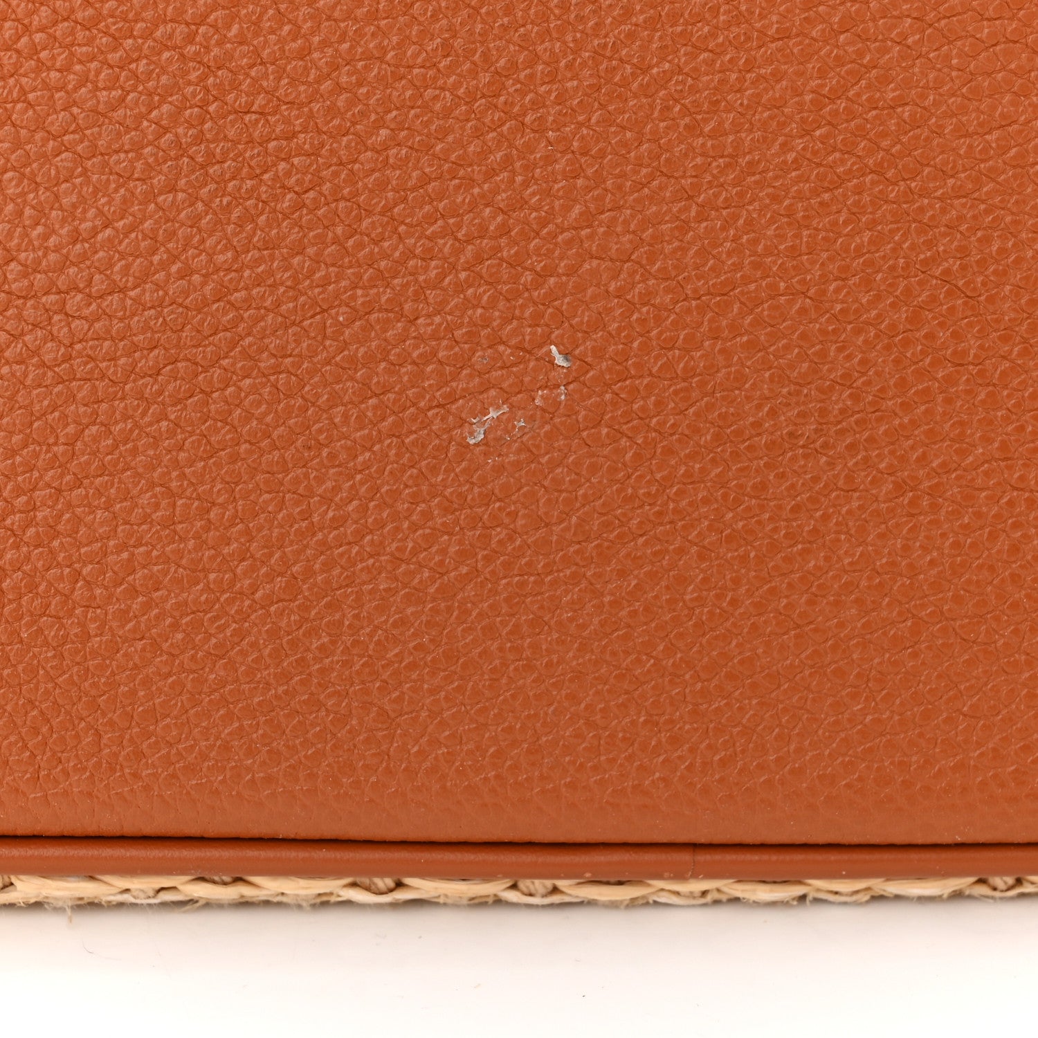 Louis Vuitton Raffia Calfskin Monogram Neonoe MM Tan 10 of 10