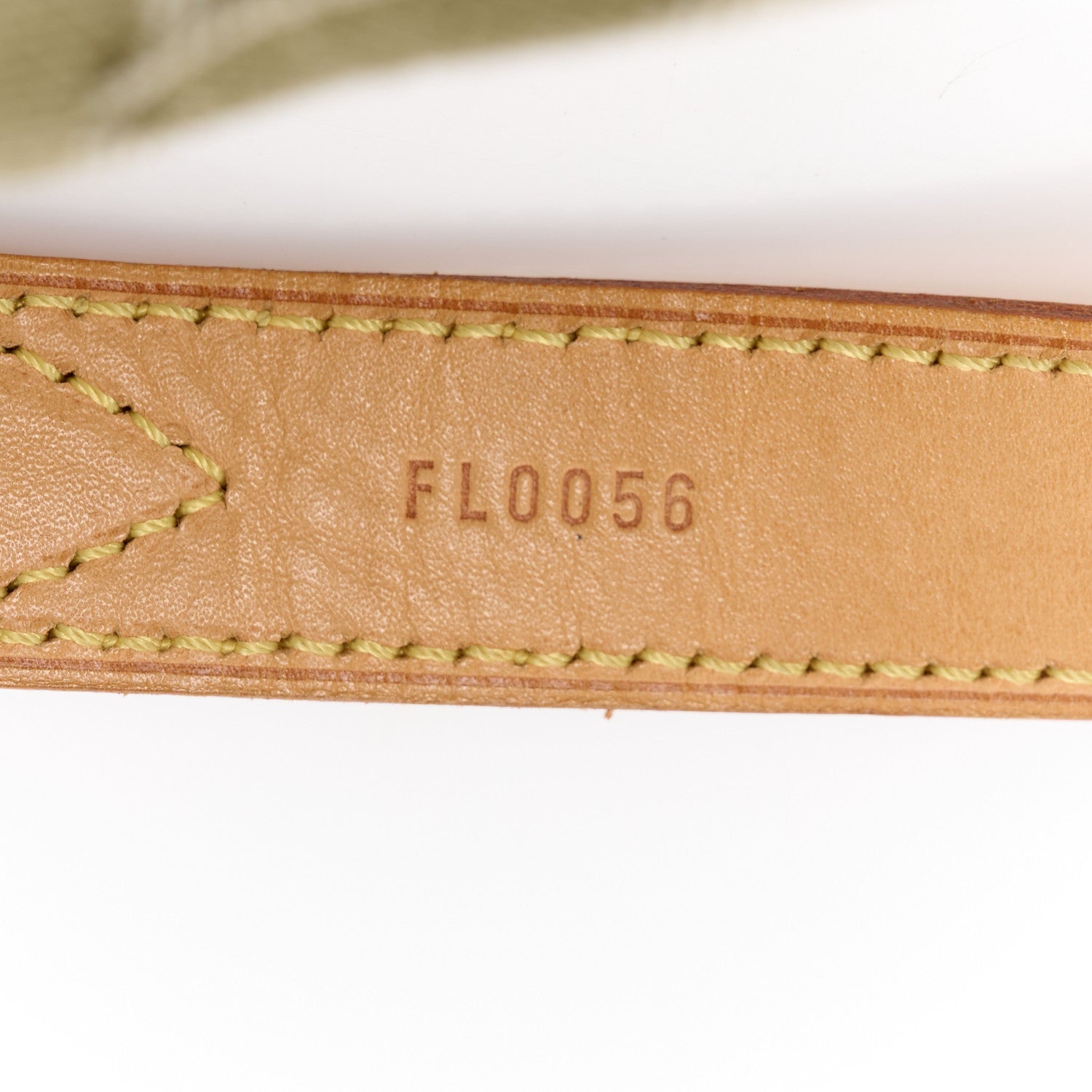Louis Vuitton Denim Baggy PM Lichen 8 of 11