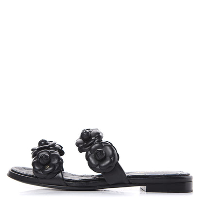 Chanel Lambskin Camellia Sandals 35.5 Black 1 of 11
