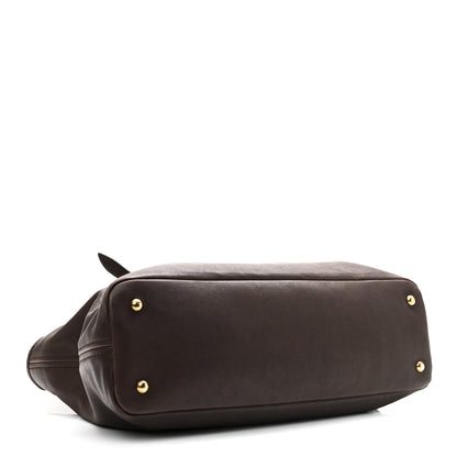 Miu Miu Nappa Medium Aventure Bag Radica 4 of 9