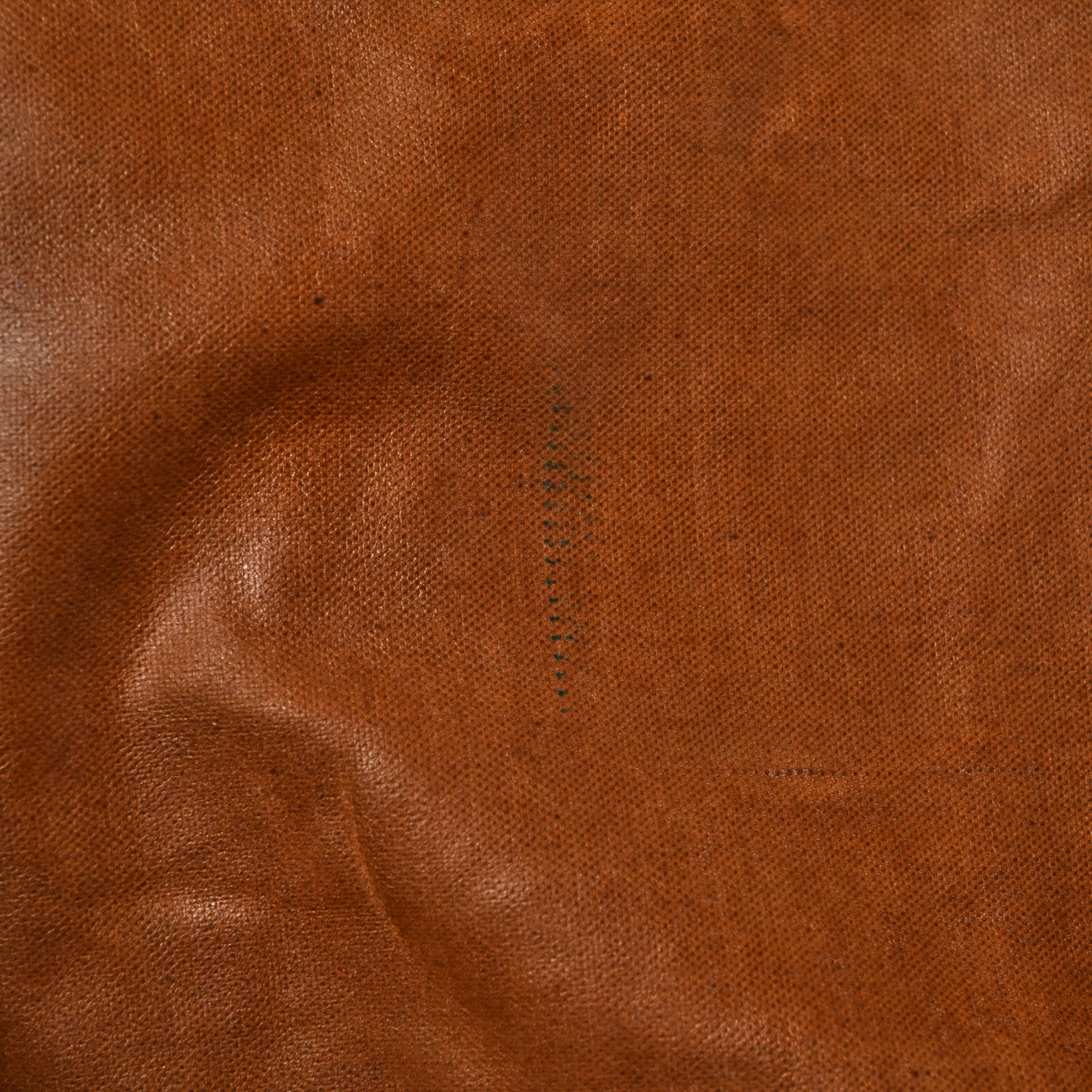 Louis Vuitton Monogram Kabul Garment Suit Cover 14 of 15