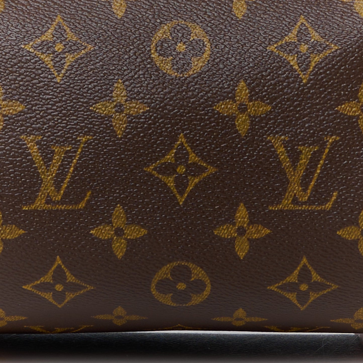 Monogram Papillon 30 with Companion