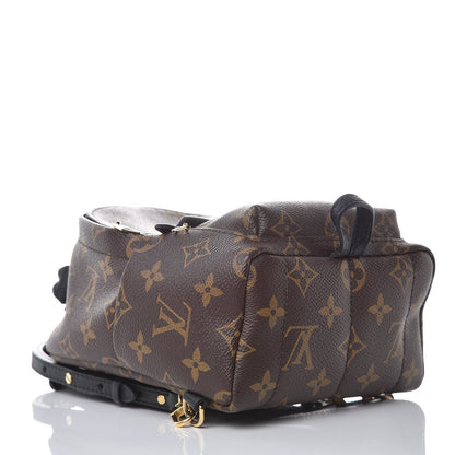 Louis Vuitton Monogram Palm Springs Backpack Mini 4 of 8