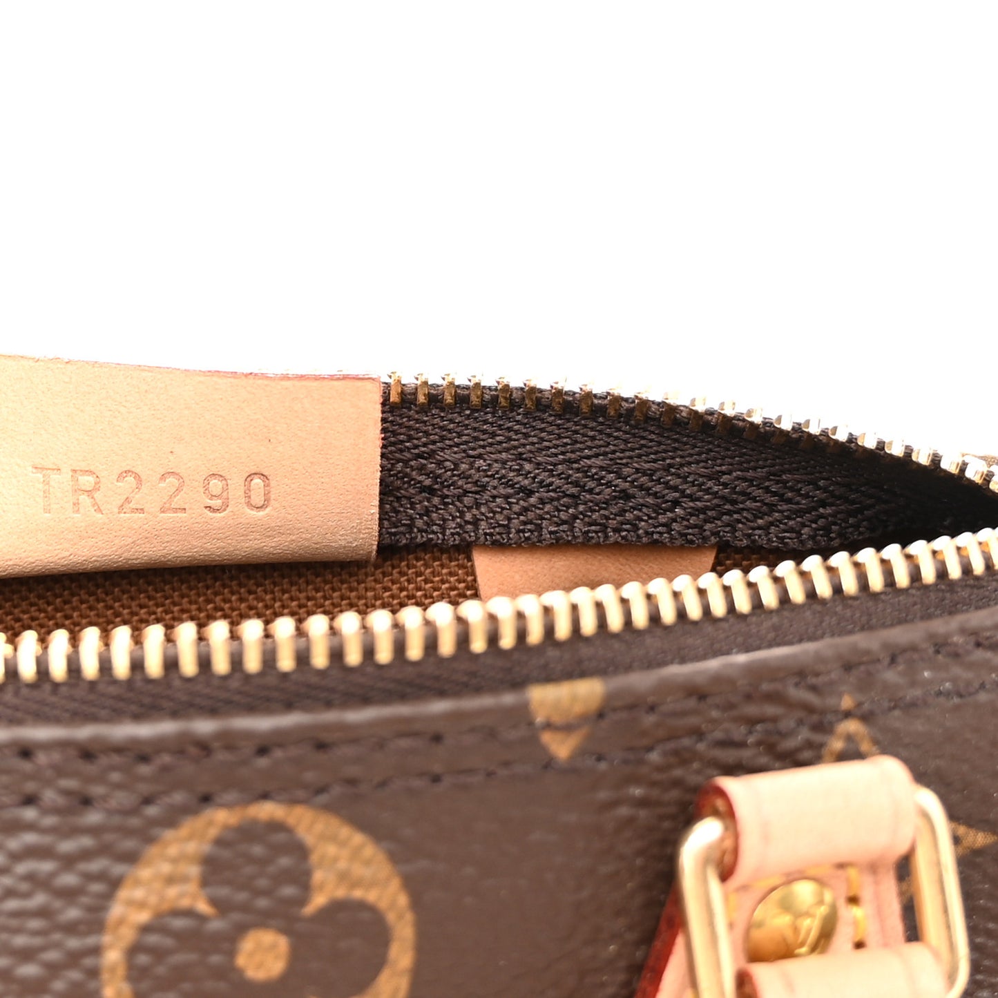Monogram Nano Speedy