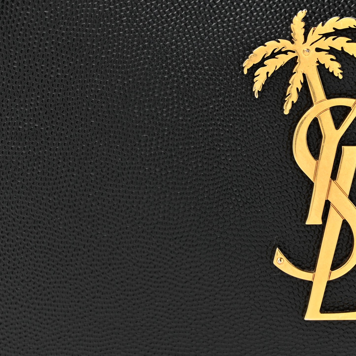 Grain De Poudre Small Monogram Palm Tree Camera Bag Black