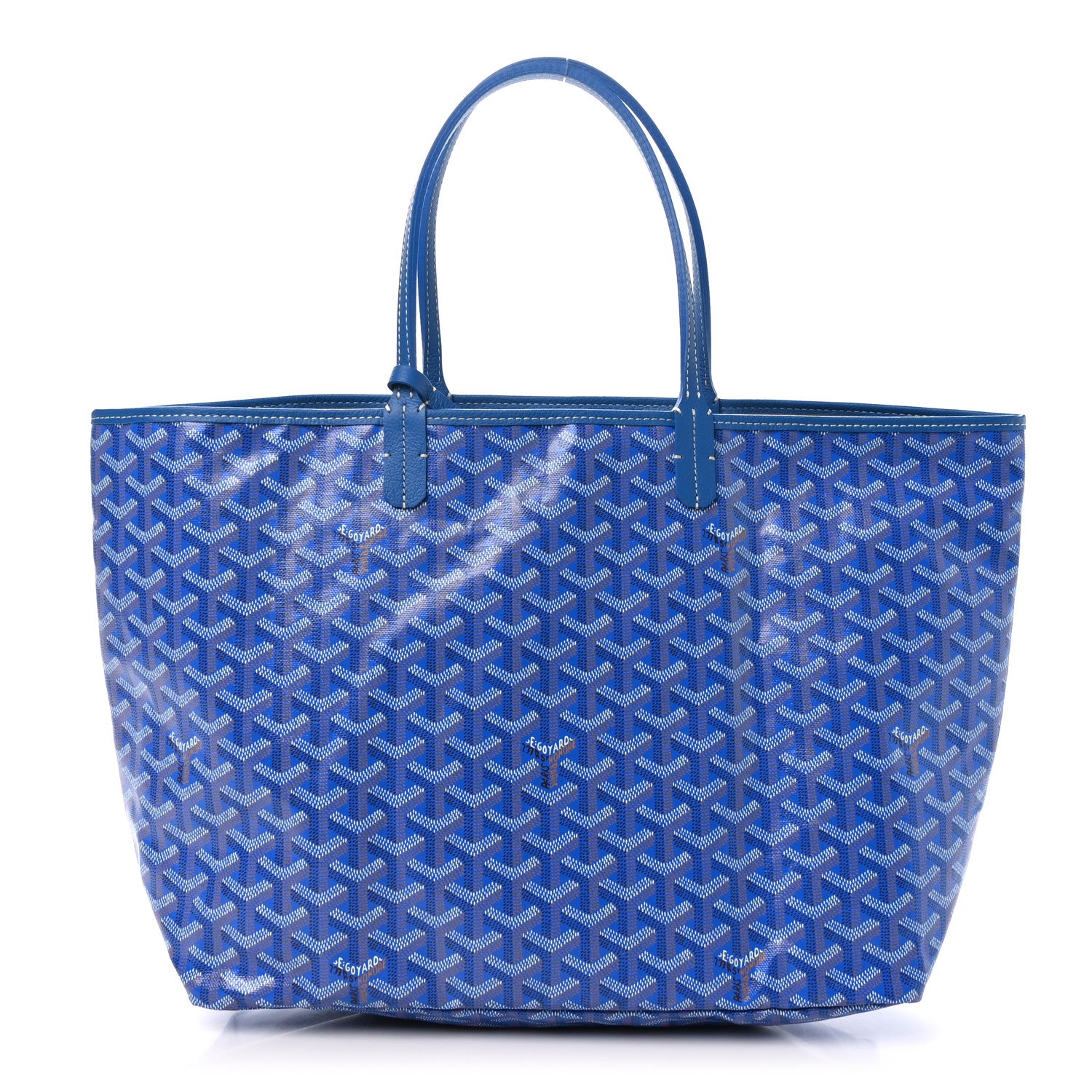 Goyard Goyardine Saint Louis PM Sky Blue 1 of 11