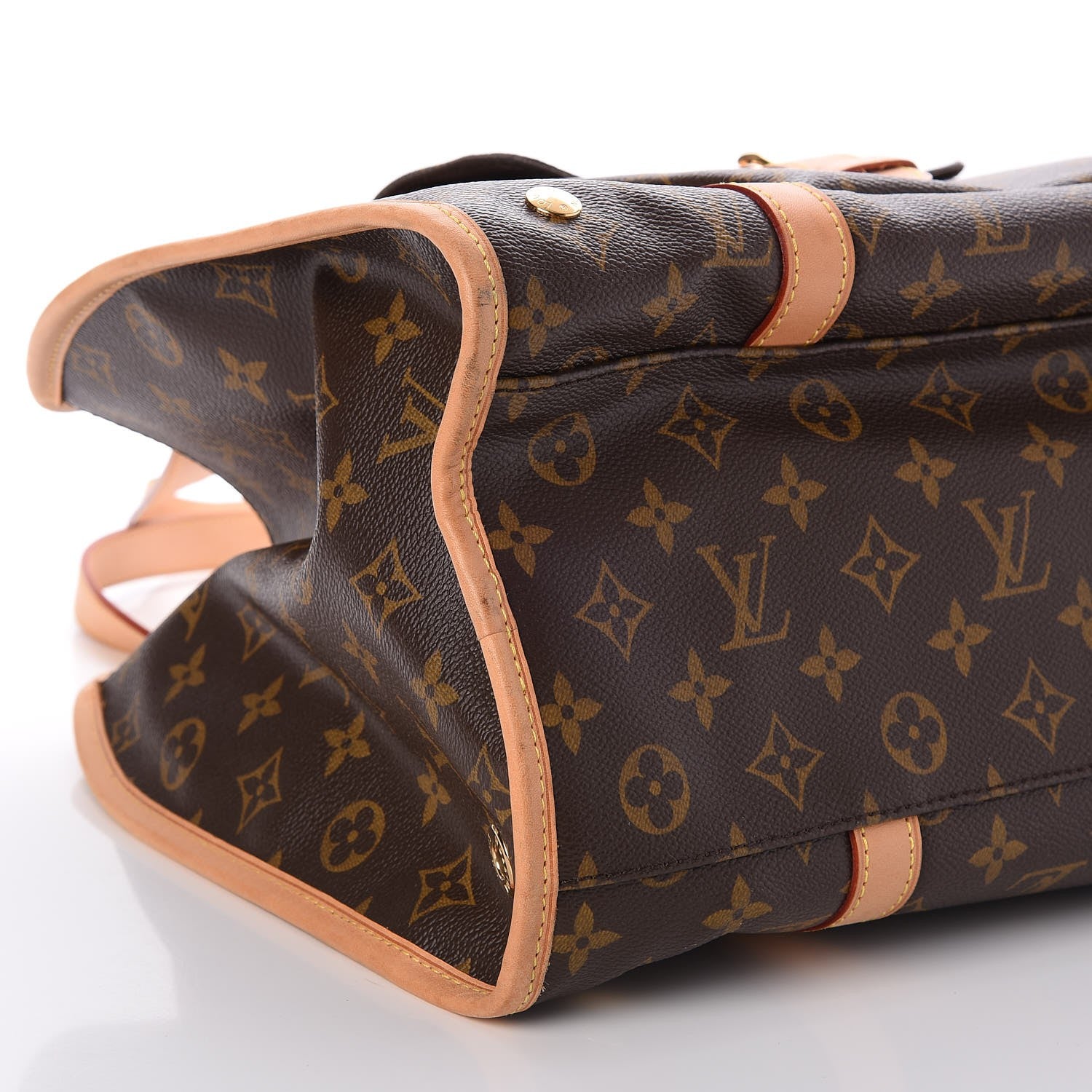 Louis Vuitton Monogram Baxter GM Dog Pet Carrier 9 of 10