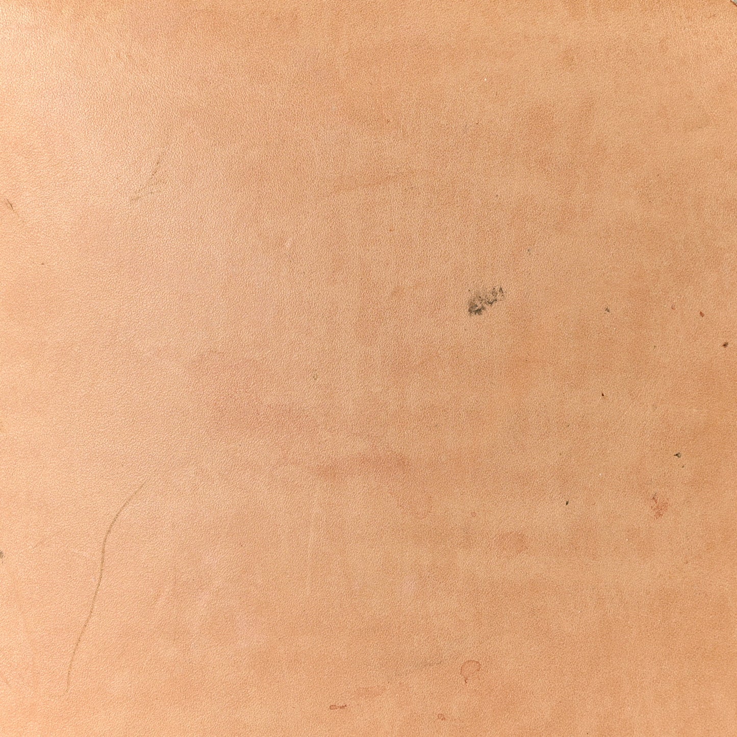 Monogram Noe